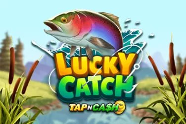 cc6 cá cược bóng đá